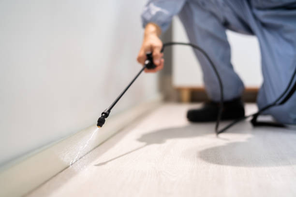 Licensed Mosquito Control service in Moosup, CT - Show Me Pest Control