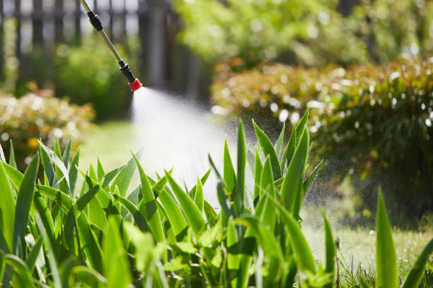 24/7 Emergency Mosquito Control experts in Moosup, CT